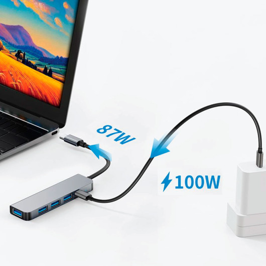 Bozeman Type C Hubs Charging